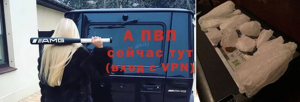 СК Магас