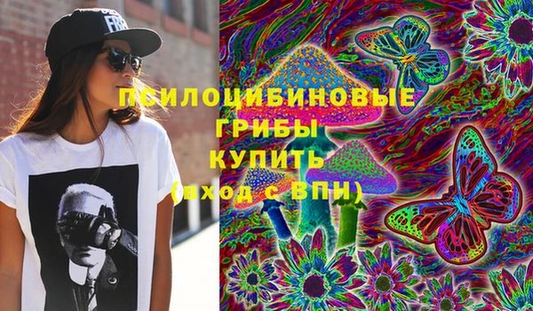шишки Майский