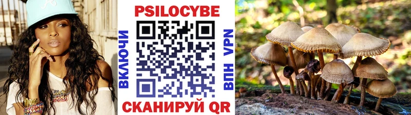 Псилоцибиновые грибы GOLDEN TEACHER  купить   Малоархангельск 